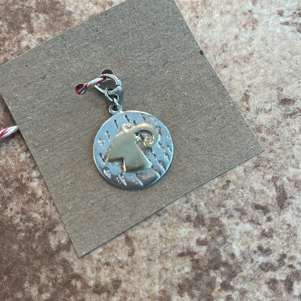 Silver Pendant - Capricorn - Picture 5 of 5
